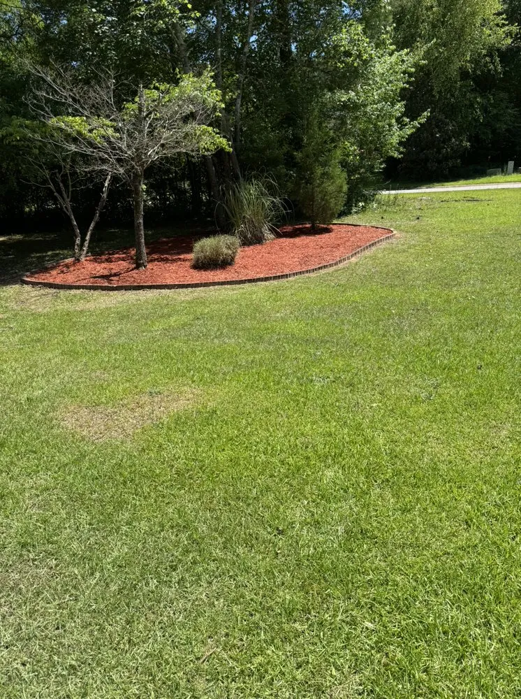 Custom landscaping services experts serving Irmo, SC - Lawn Recovery 803