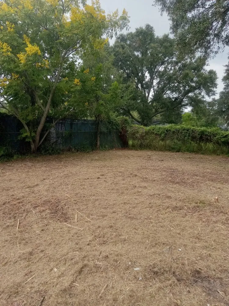 Trusted landscape installation for beautiful yards in Jacksonville, FL by Lawn Recovery And Maintenance