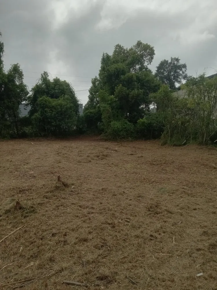 Reliable garden landscaping in Jacksonville, FL by Lawn Recovery And Maintenance