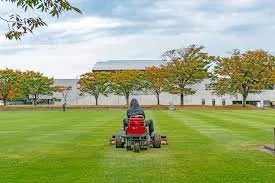 Professional yard cleanup service in Jacksonville, FL by Lawn Recovery And Maintenance