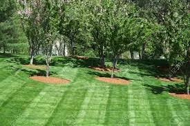 Affordable lawn mowing service experts serving Jacksonville, FL - Lawn Recovery And Maintenance