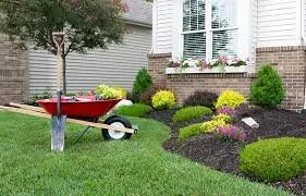 Local yard cleanup service for year-round maintenance across Jacksonville, FL - Lawn Recovery And Maintenance