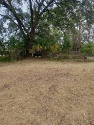 Lawn Recovery And Maintenance Logo