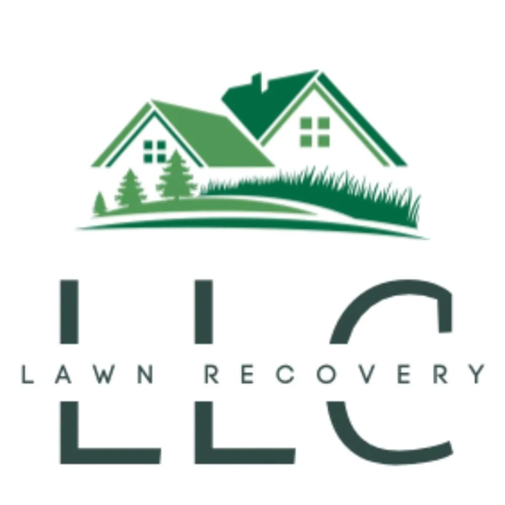 Trusted lawn mowing service in Gassville, AR - Lawn Recovery