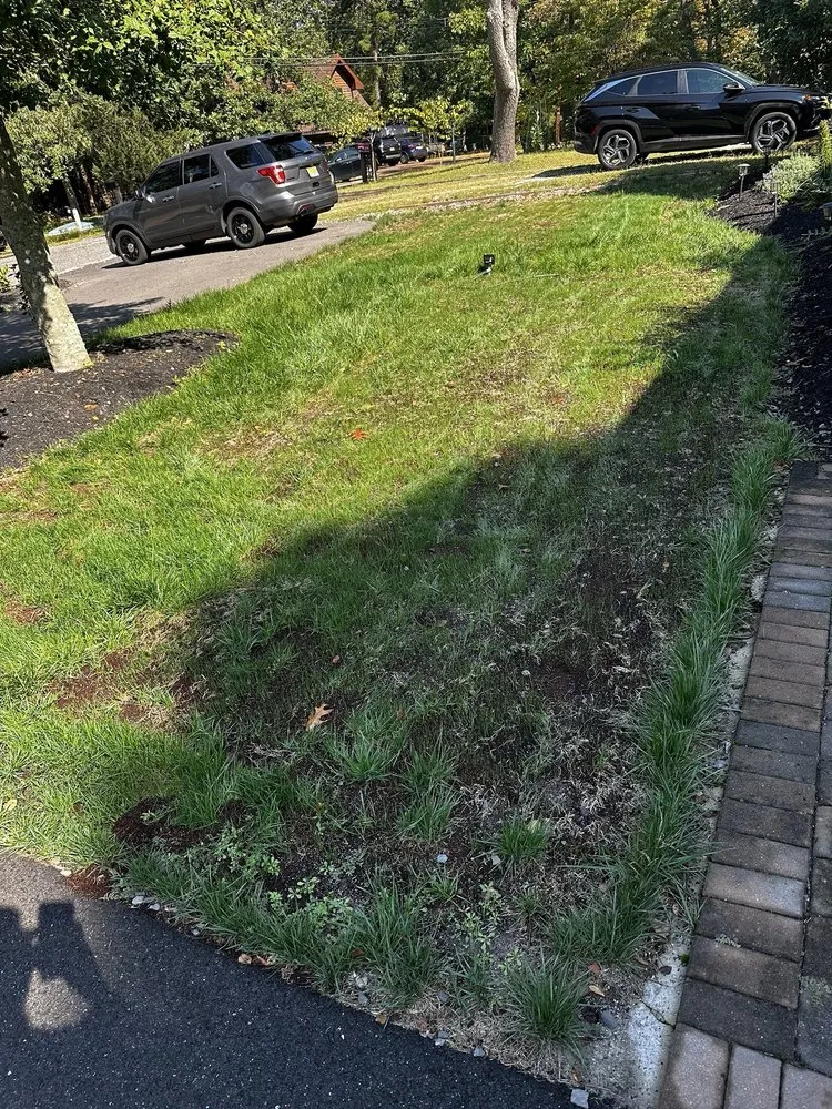 Professional yard cleanup service with custom design in Mays Landing, NJ by Lawn Reform