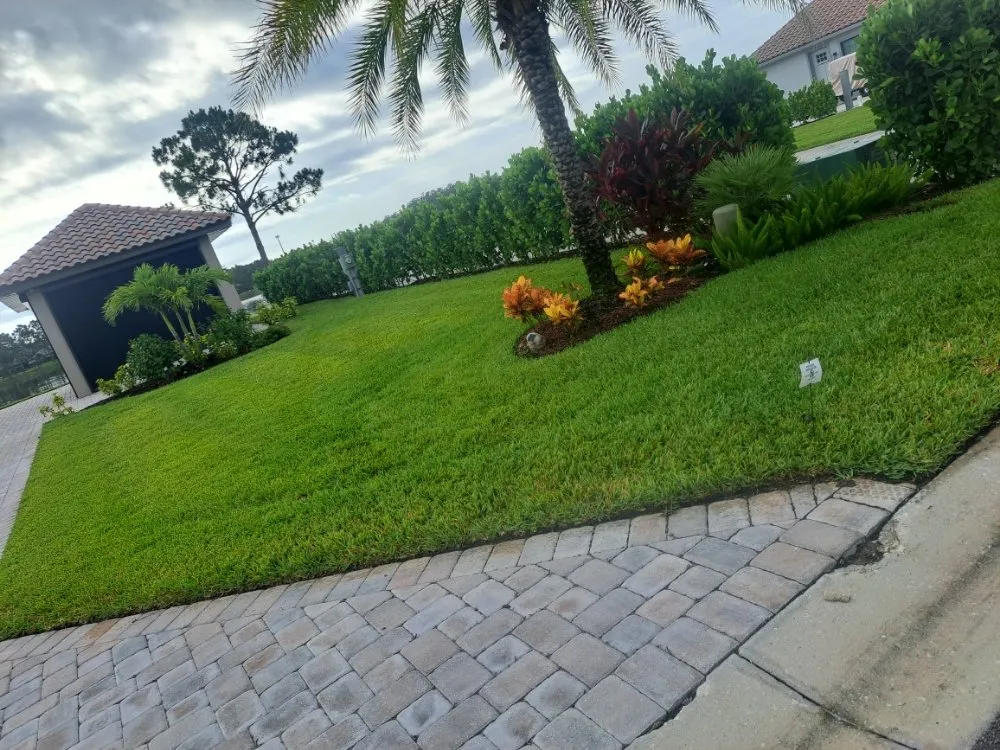 Expert lawn care service in Fort Myers, FL - Lawn Rejuvenation