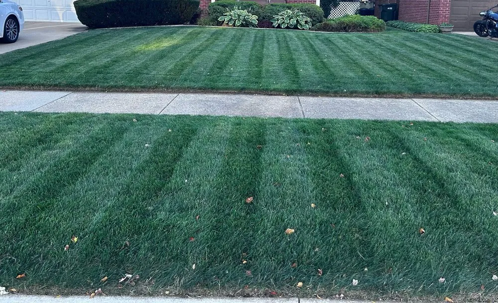 Trusted landscape design near you in Sterling Heights, MI by Lawn Repair Guy