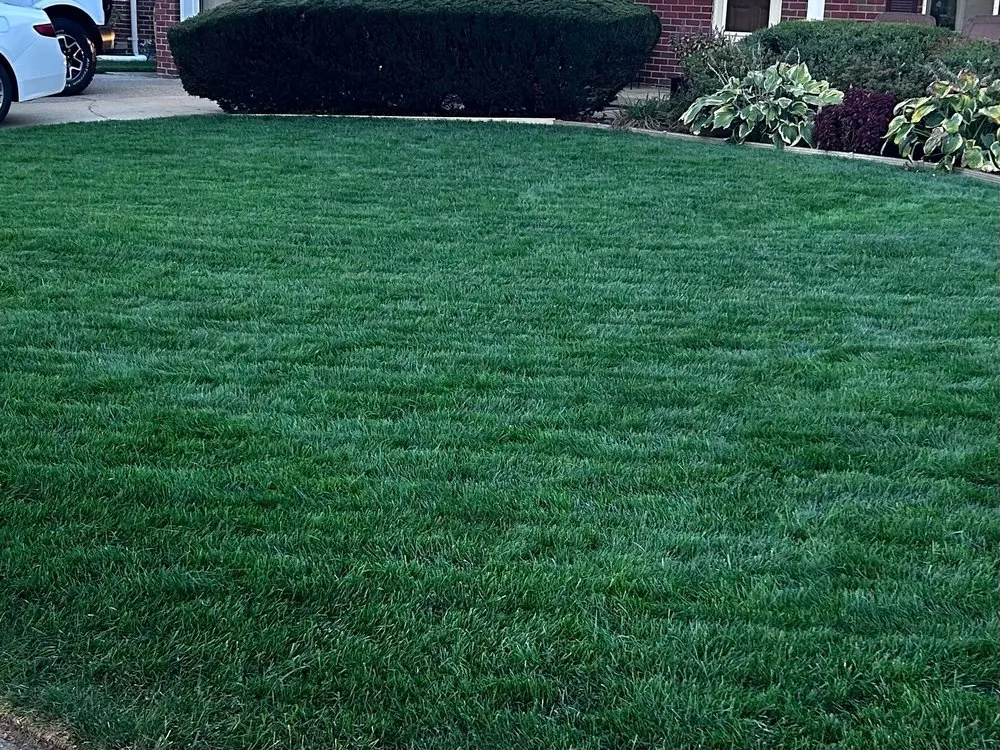 Top-rated outdoor landscaping in Sterling Heights, MI - Lawn Repair Guy