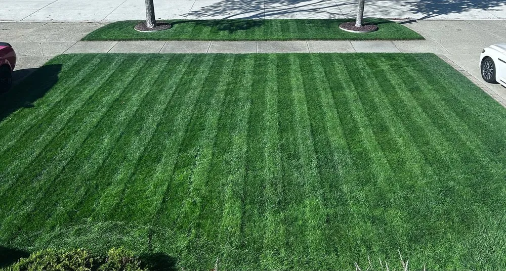 Trusted lawn mowing service in Sterling Heights, MI by Lawn Repair Guy