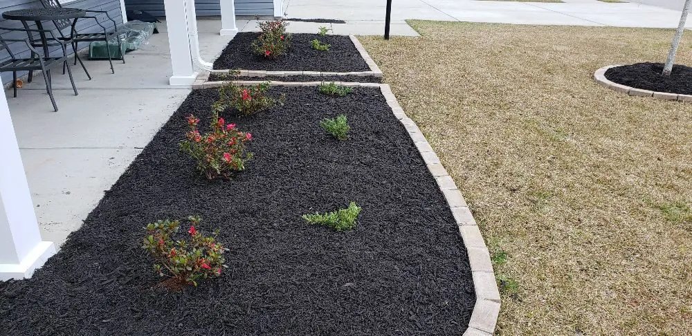 Professional landscape installation near you in North Charleston, SC by Lawn Reputation