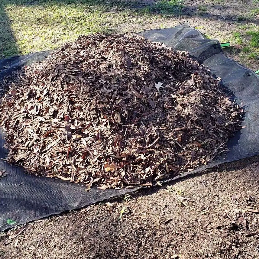 Local landscaping services for residential properties across North Charleston, SC - Lawn Reputation