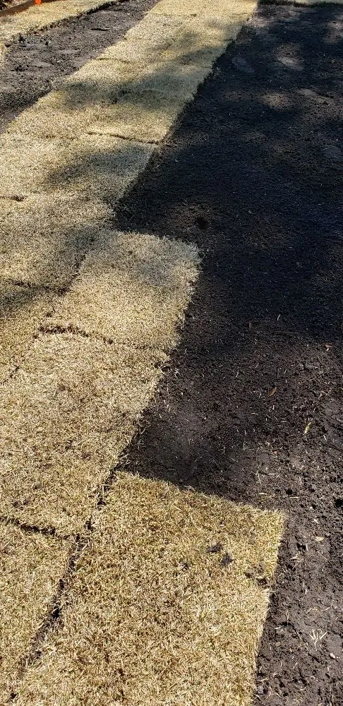 Custom landscaping services in North Charleston, SC by Lawn Reputation