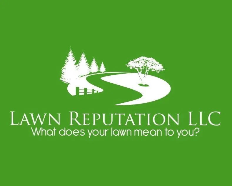 Professional landscape design in North Charleston, SC by Lawn Reputation