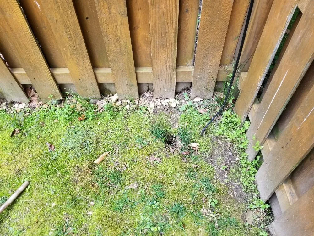 Custom yard cleanup service in Woodbridge, VA - Lawn Rescue 911