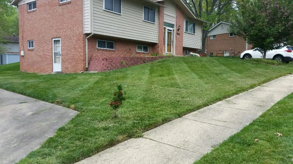 Custom yard cleanup service for homes in Woodbridge, VA by Lawn Rescue 911