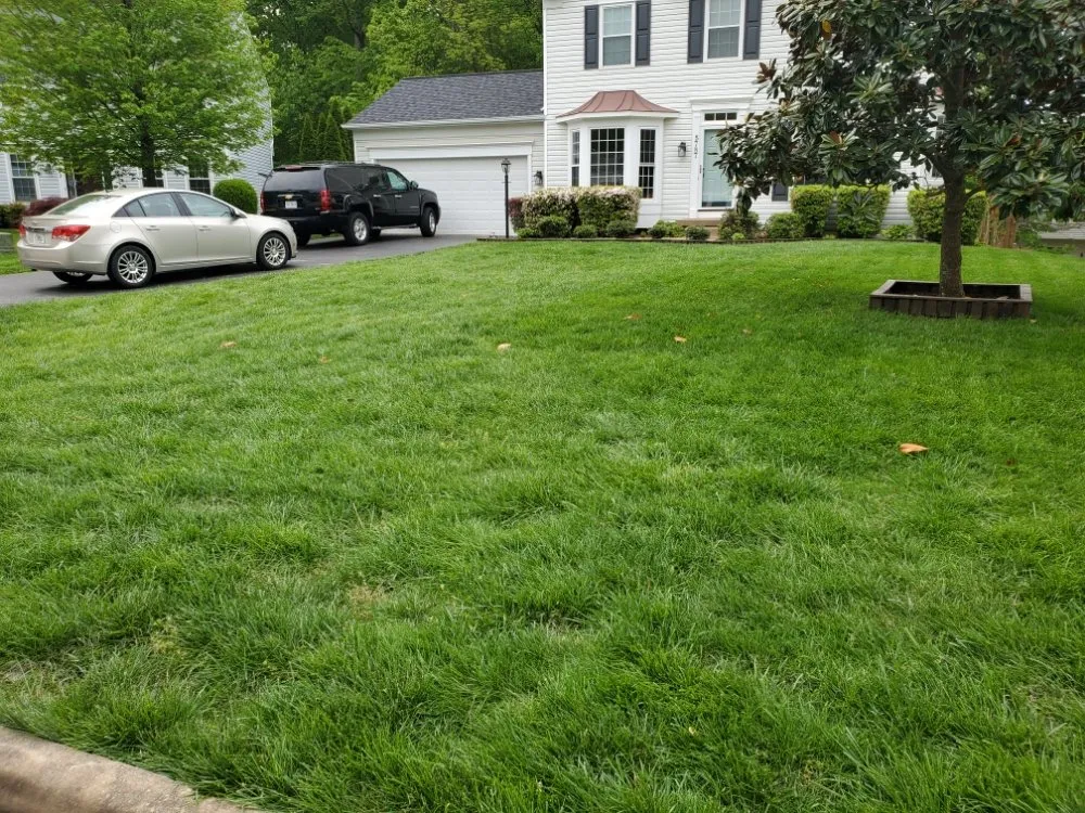 Expert yard maintenance in Woodbridge, VA - Lawn Rescue 911