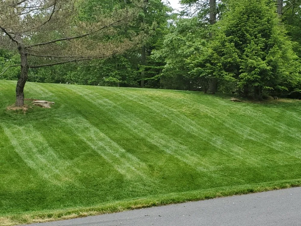 Trusted lawn care service experts serving Woodbridge, VA - Lawn Rescue 911