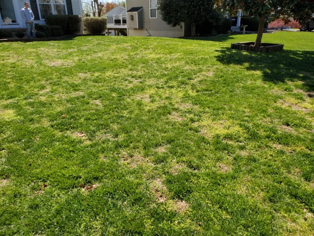 Professional yard cleanup service near you in Woodbridge, VA by Lawn Rescue 911