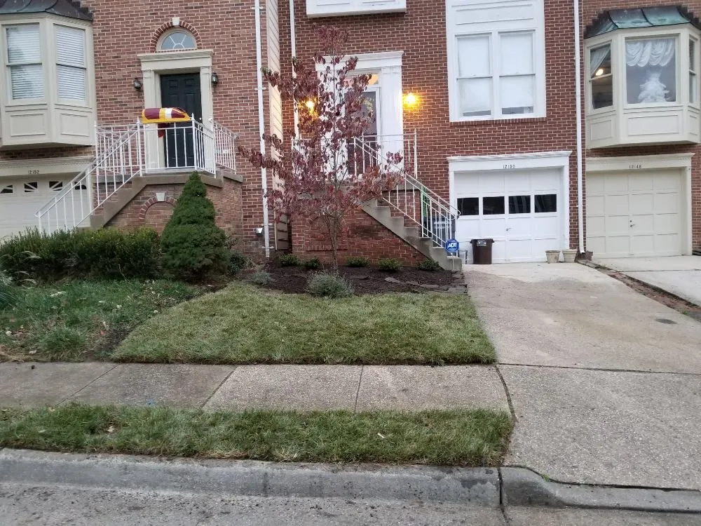 Reliable yard cleanup service in Woodbridge, VA - Lawn Rescue 911