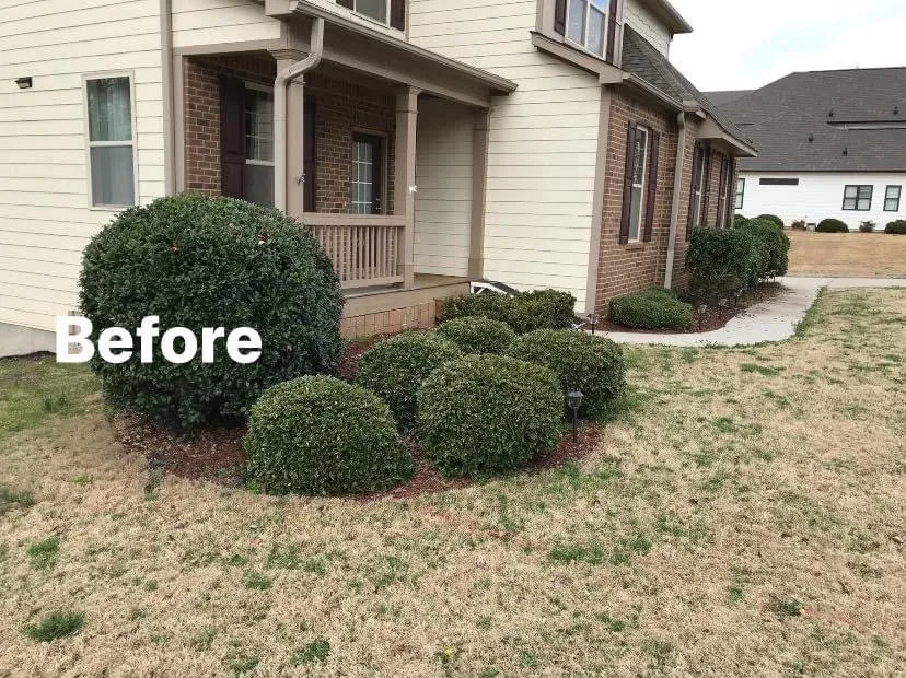 Custom lawn mowing service for beautiful yards in Anderson, SC by Lawn Rescue