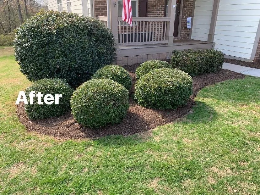 Custom garden landscaping in Anderson, SC - Lawn Rescue