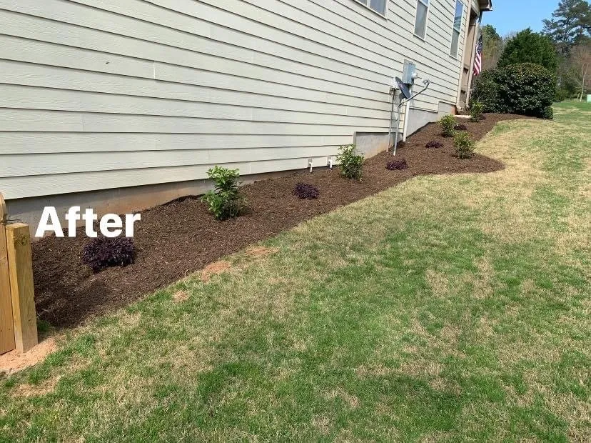 Expert landscaping services in Anderson, SC - Lawn Rescue