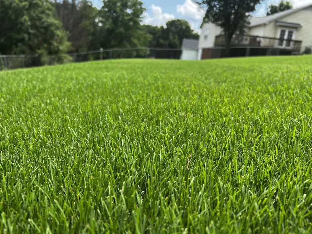 Trusted landscape installation for homes across Anderson, SC - Lawn Rescue