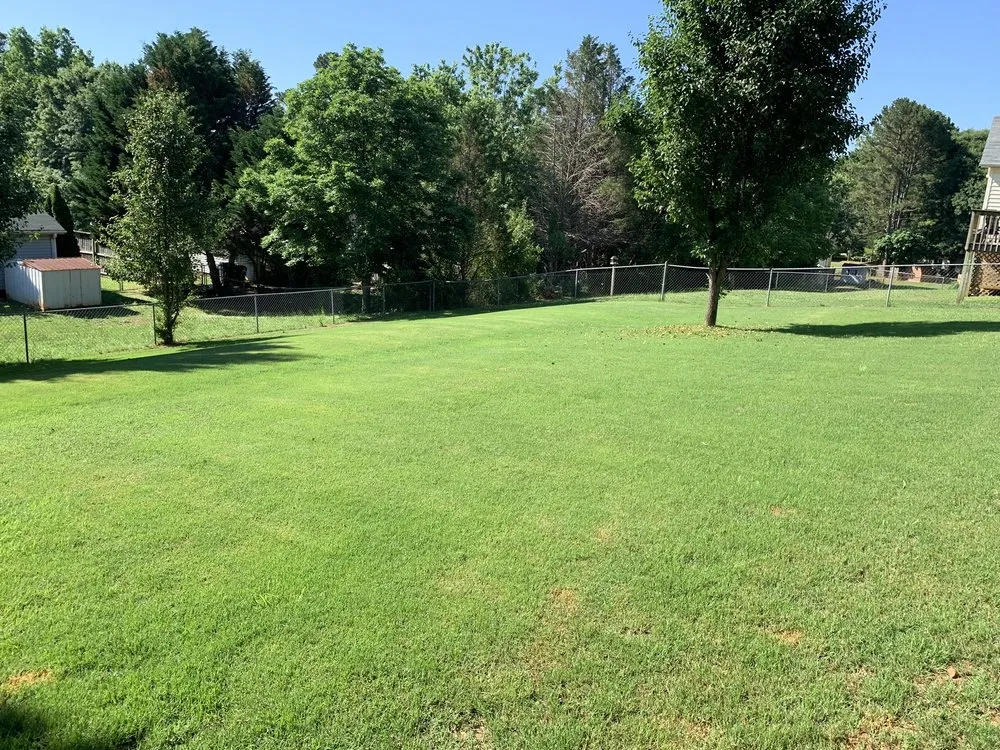 Affordable garden landscaping with custom design in Anderson, SC by Lawn Rescue