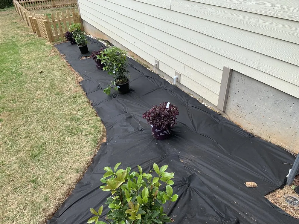 Top-rated landscaping services with custom design in Anderson, SC by Lawn Rescue