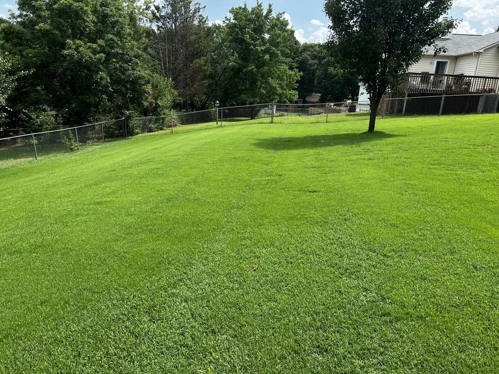 Affordable lawn mowing service experts serving Anderson, SC - Lawn Rescue