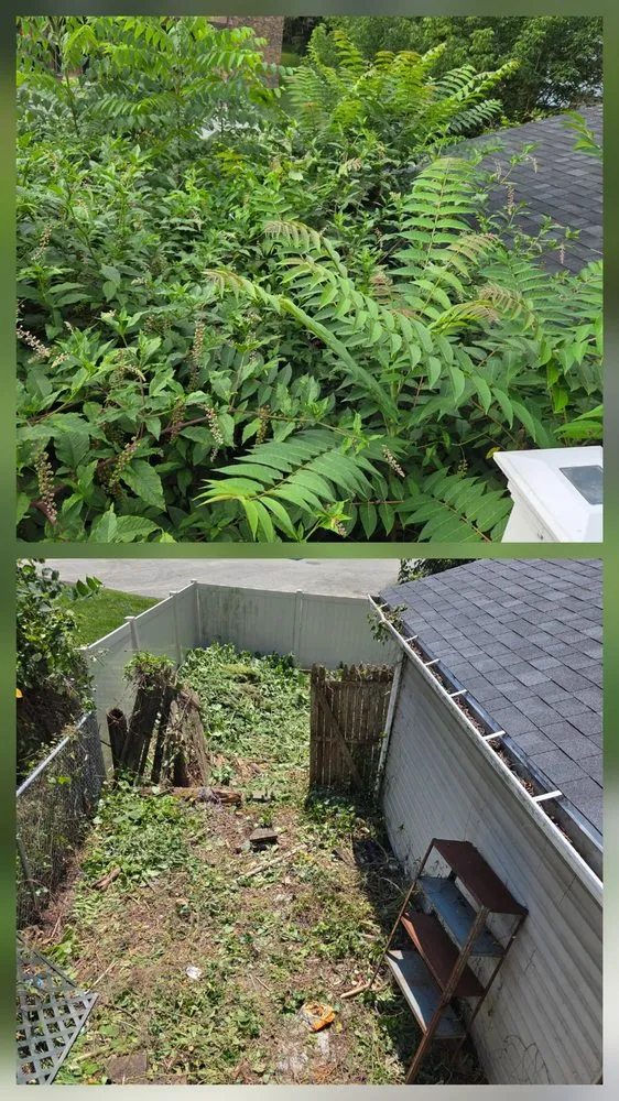 Reliable lawn mowing service for year-round maintenance across McDonald, PA - Lawn Rescue