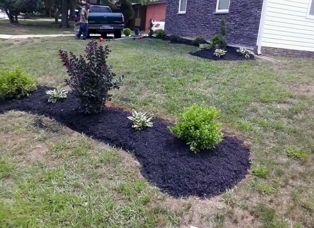 Local landscape design in Marbury, MD - Lawn Rescue Services