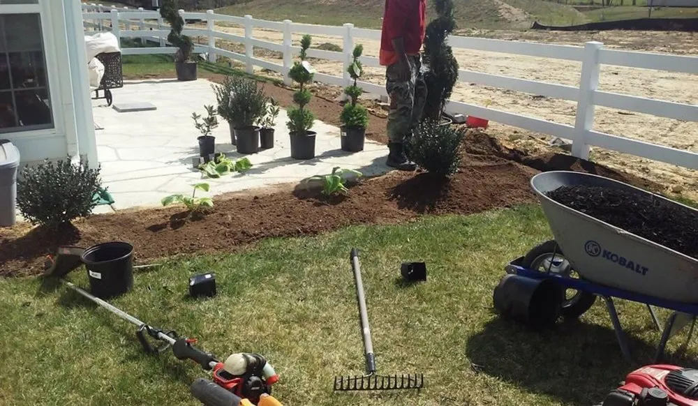 Affordable lawn mowing service in Marbury, MD by Lawn Rescue Services