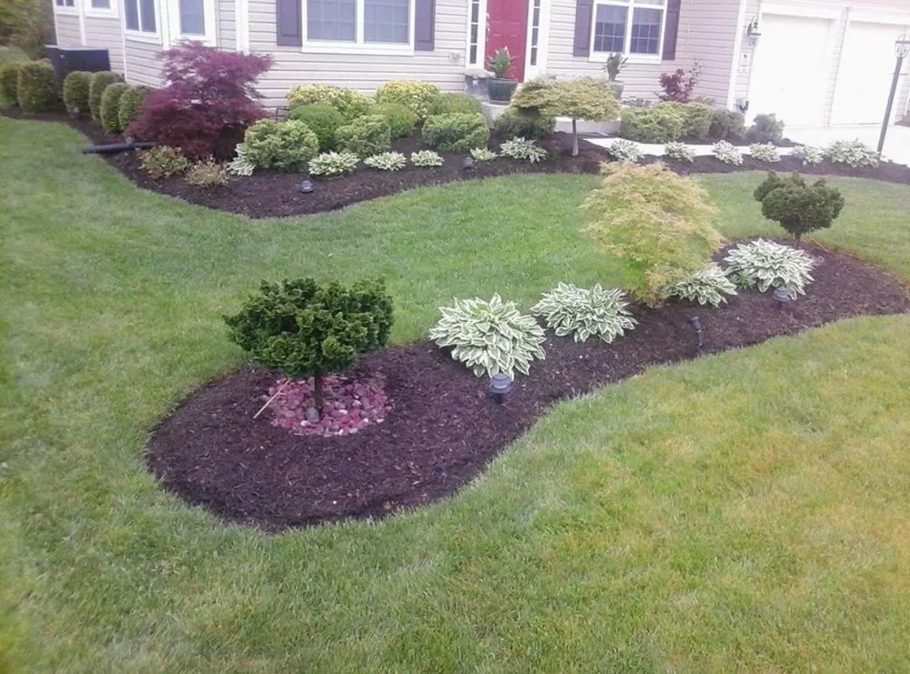 Top-rated yard maintenance in Marbury, MD - Lawn Rescue Services