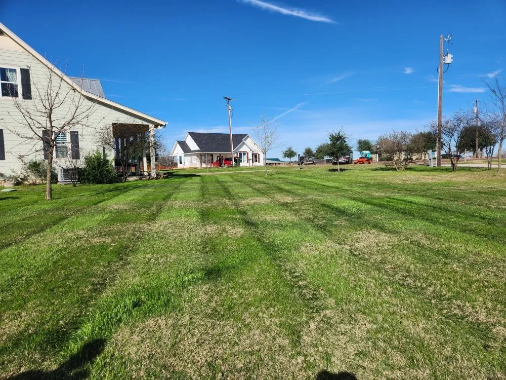 Top-rated yard cleanup service for homes across Wortham, TX - Lawn Rescue