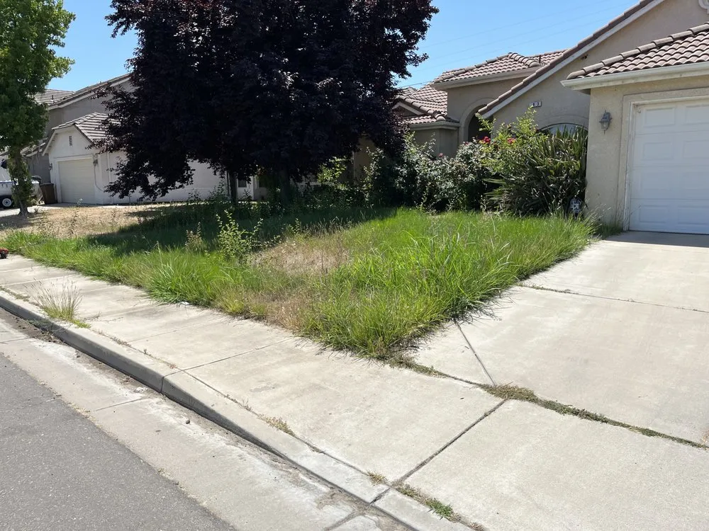 Reliable garden landscaping in Livingston, CA - Lawn Rescuerz