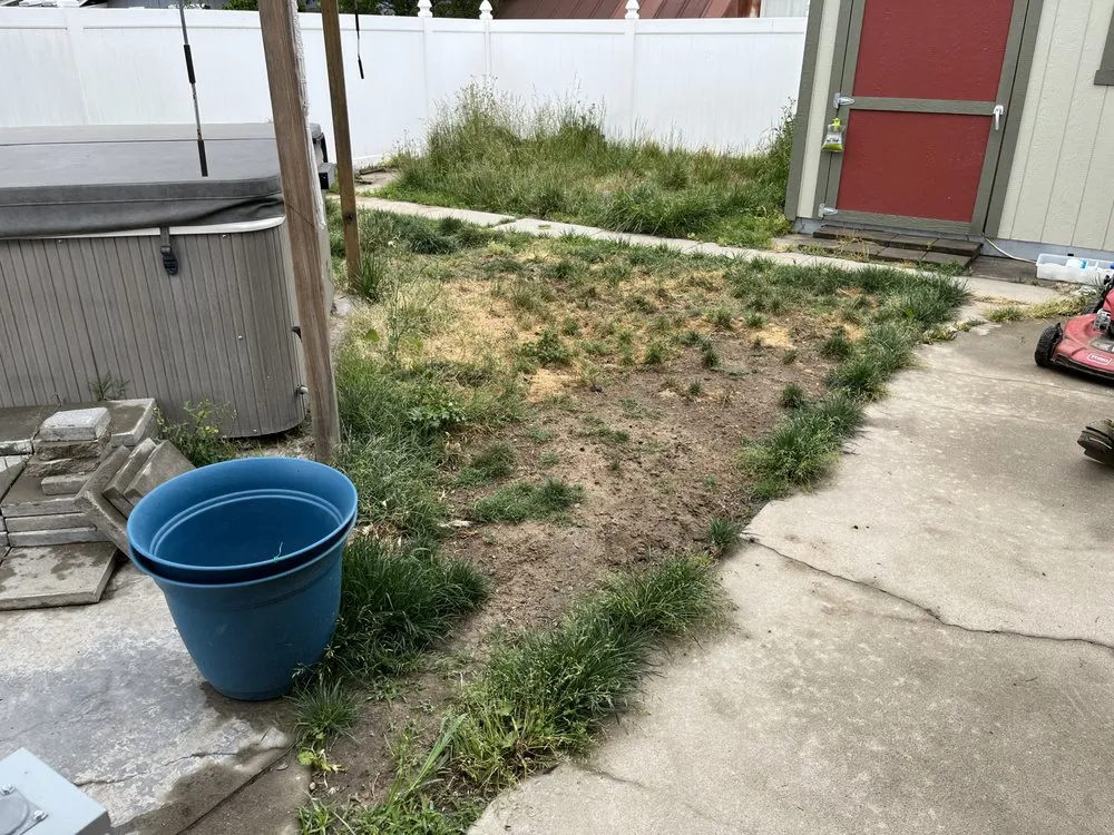 Reliable landscape design in Livingston, CA by Lawn Rescuerz