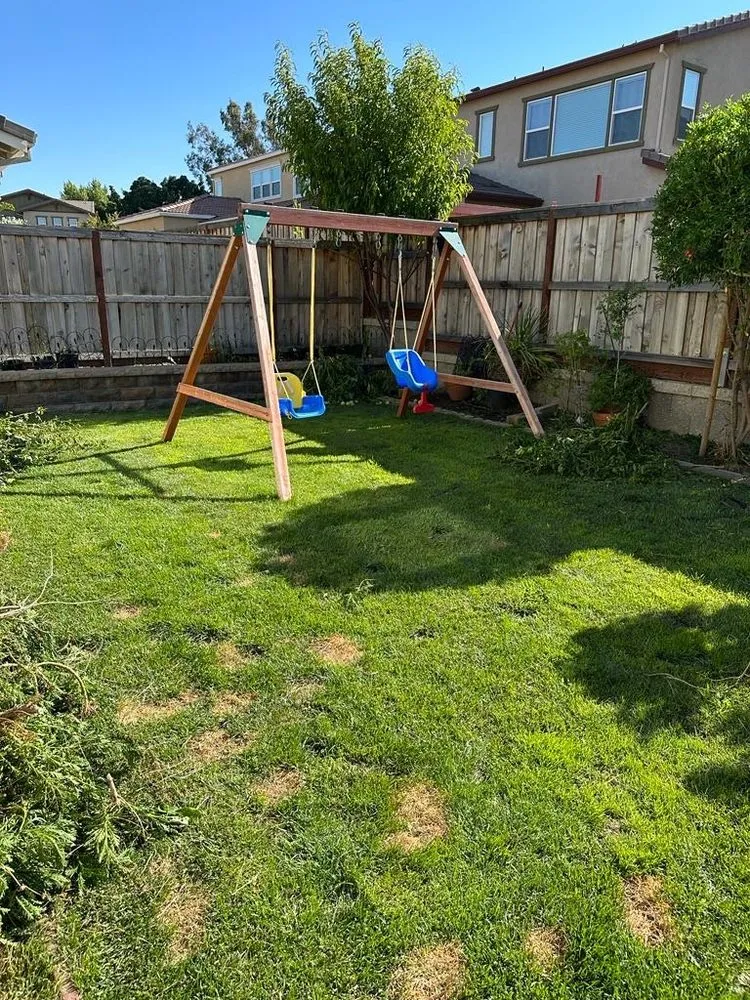 Affordable yard cleanup service in Livingston, CA by Lawn Rescuerz