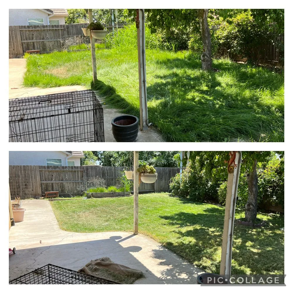 Trusted lawn care service experts serving Livingston, CA - Lawn Rescuerz