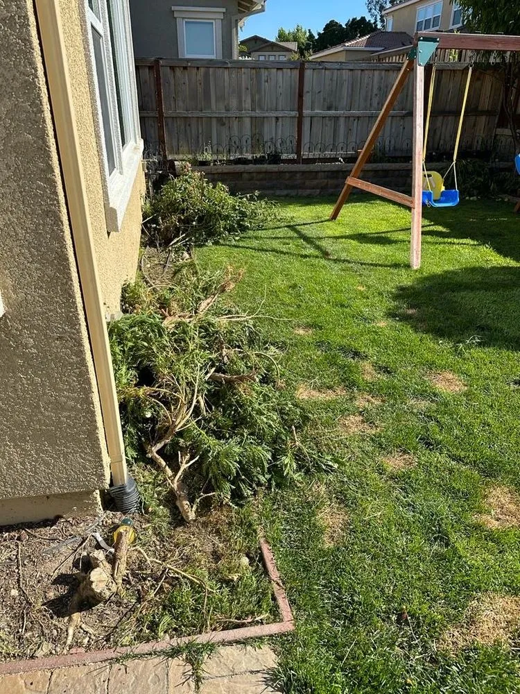 Affordable landscape installation for beautiful yards across Livingston, CA - Lawn Rescuerz
