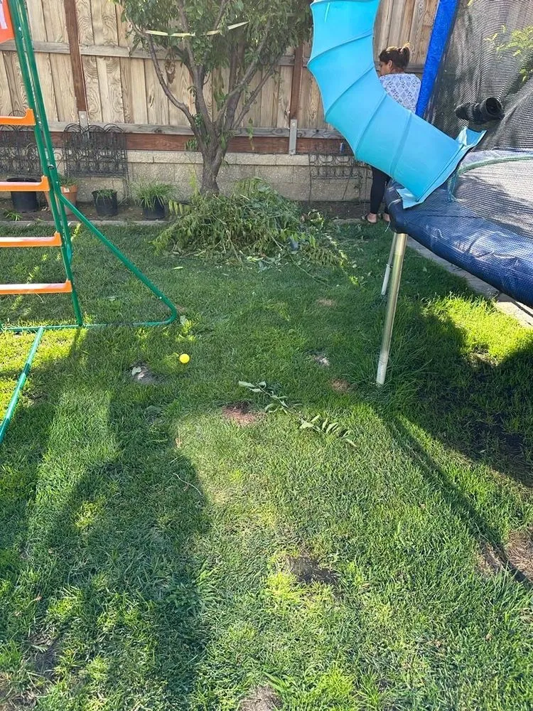 Top-rated residential landscaping experts serving Livingston, CA - Lawn Rescuerz