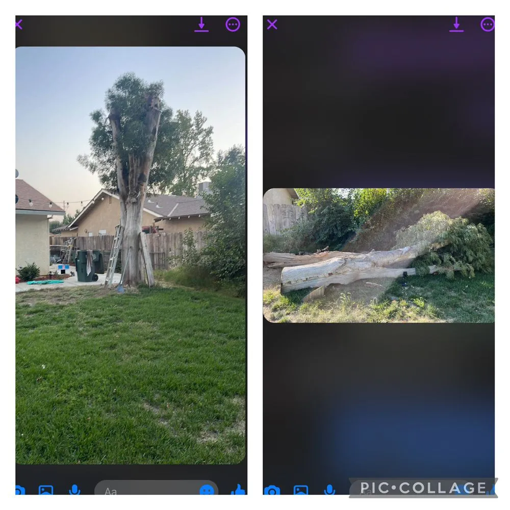 Trusted residential landscaping in Livingston, CA - Lawn Rescuerz