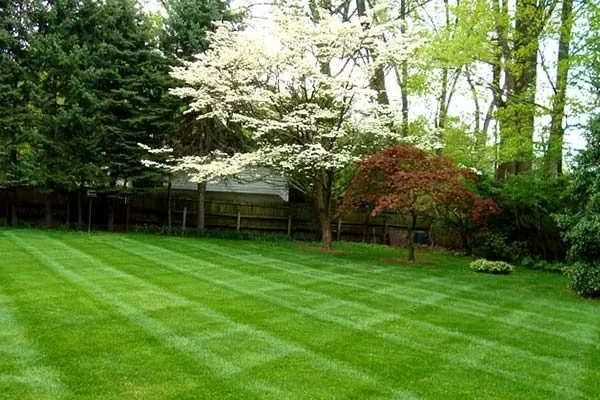 Custom landscaping services in Lilburn, GA by Lawn Rescues