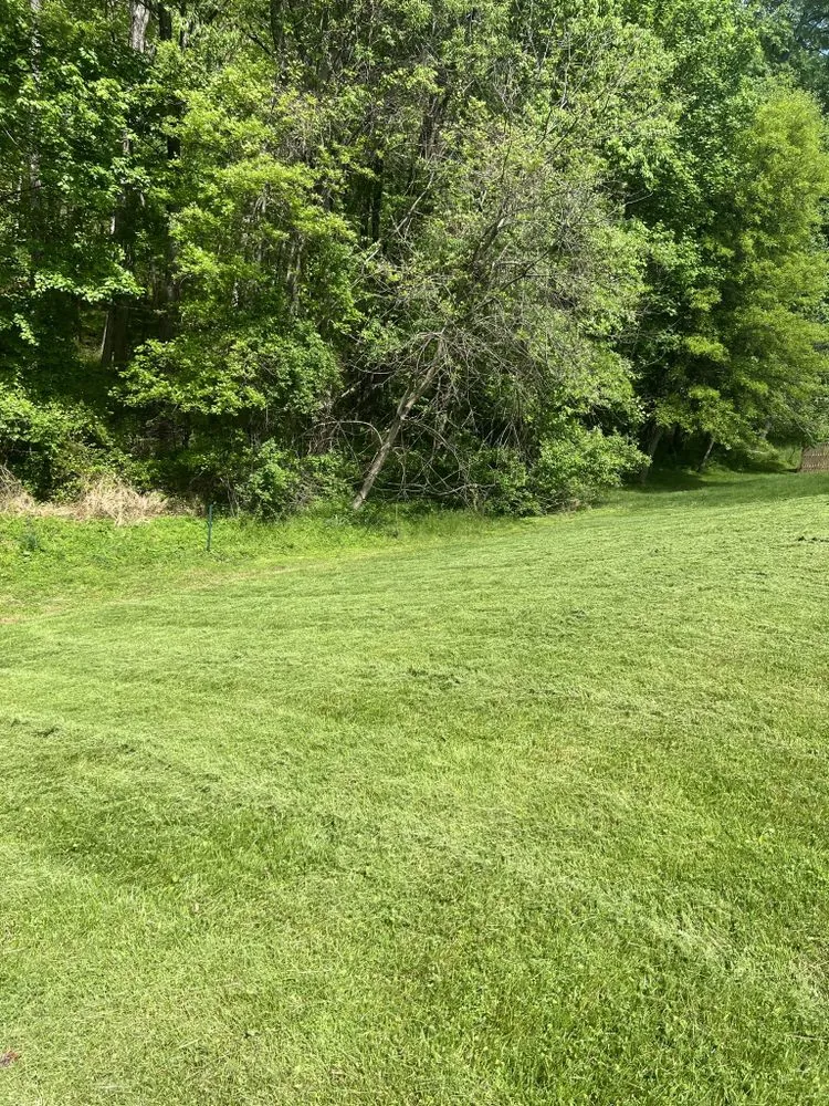 Trusted yard maintenance in Eldersburg, MD - Lawn Responder