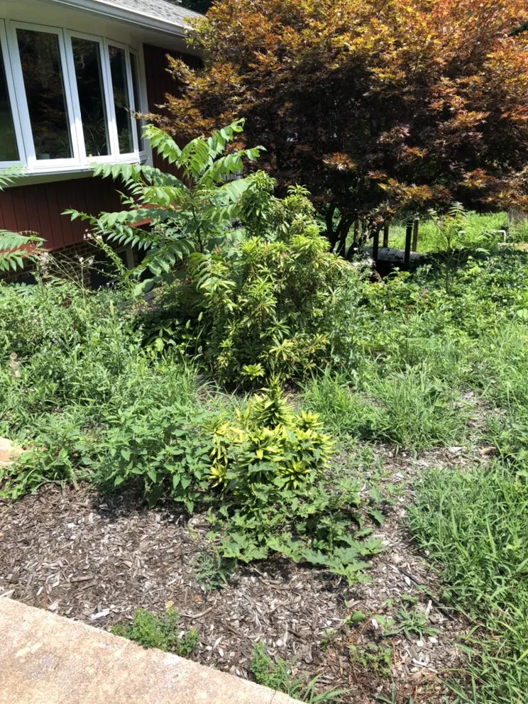 Custom landscape design experts serving Eldersburg, MD - Lawn Responder