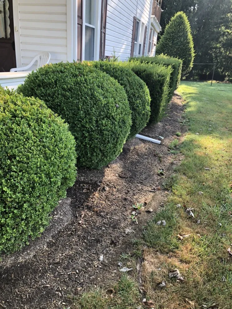 Trusted residential landscaping experts serving Eldersburg, MD - Lawn Responder