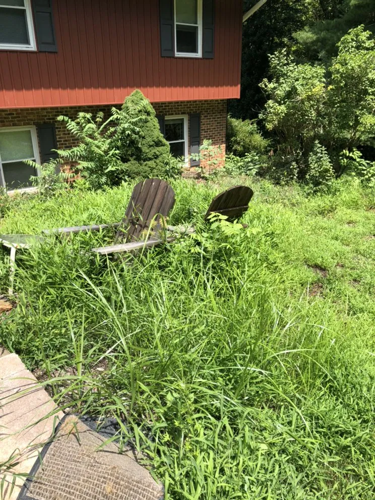 Local yard maintenance in Eldersburg, MD - Lawn Responder