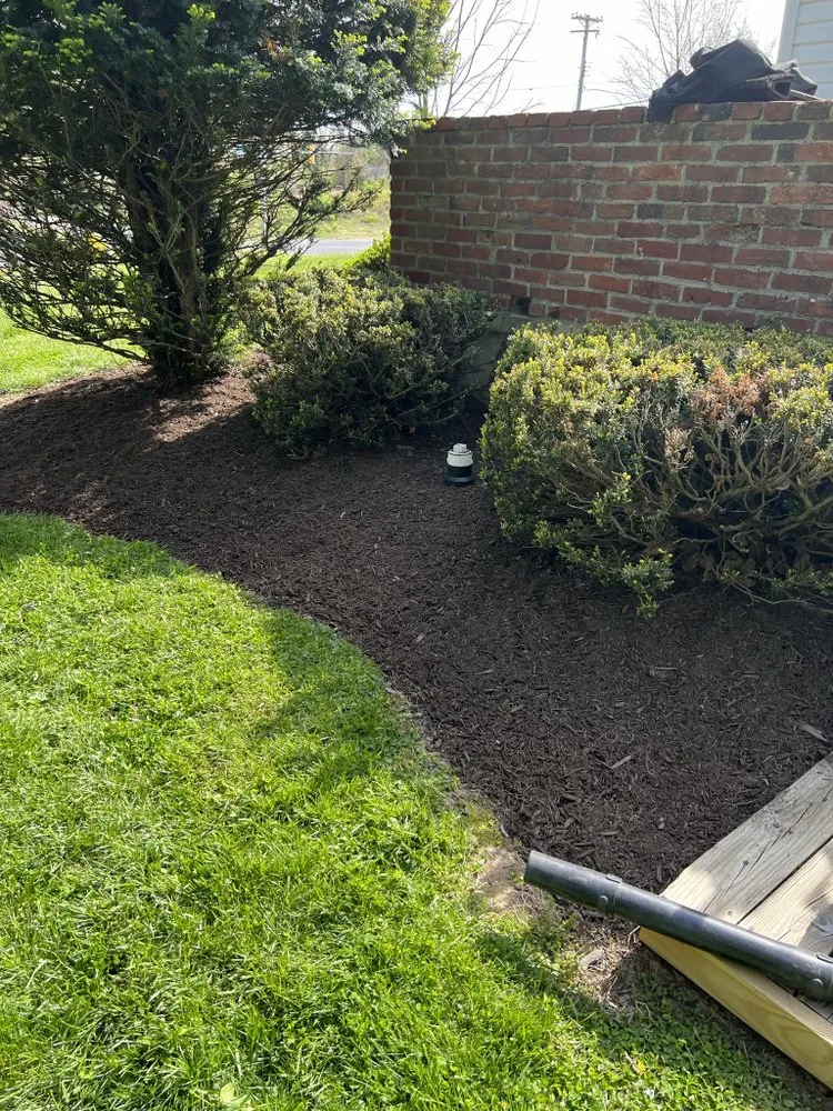 Trusted yard cleanup service for residential properties across Eldersburg, MD - Lawn Responder