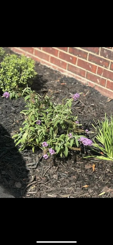 Custom outdoor landscaping in Rock Hill, SC by Lawn Runners
