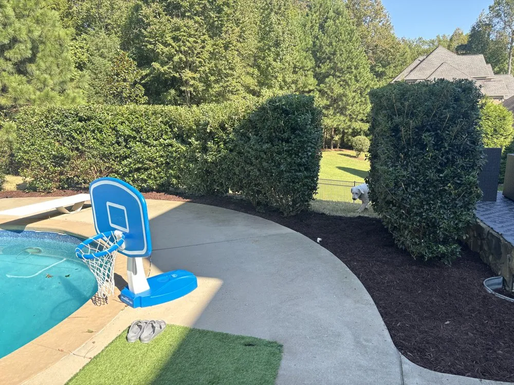 Professional landscaping services experts serving Rock Hill, SC - Lawn Runners